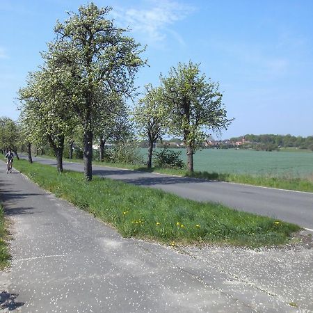 Storchennest Lägenhet Grosswudicke Exteriör bild