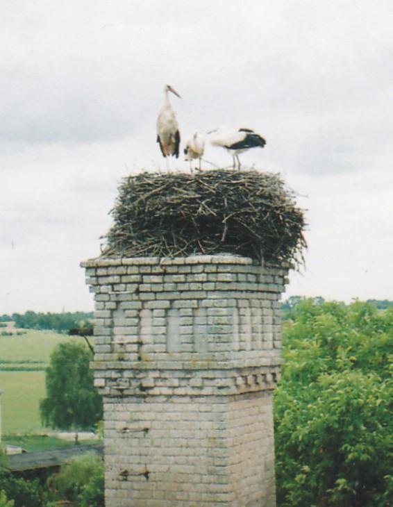 Storchennest Lägenhet Grosswudicke Exteriör bild